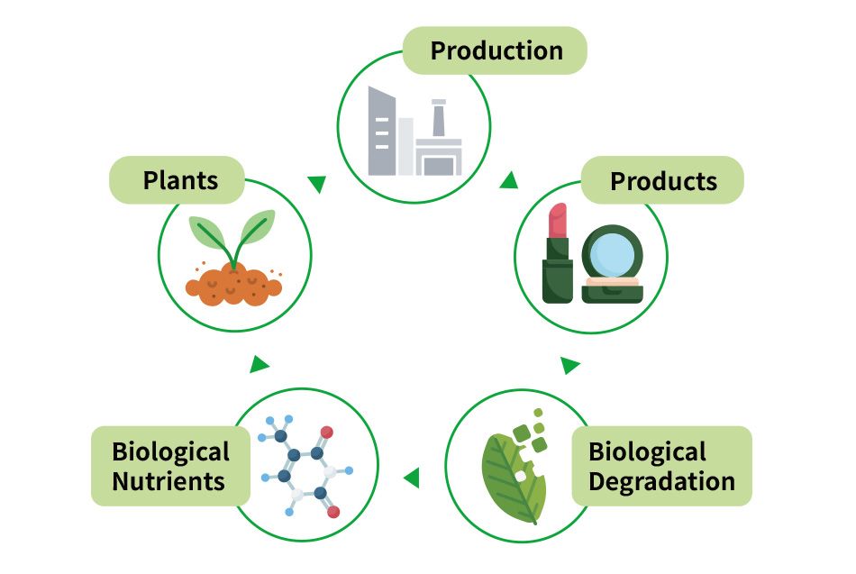 PFP is biodegradable and sustainable